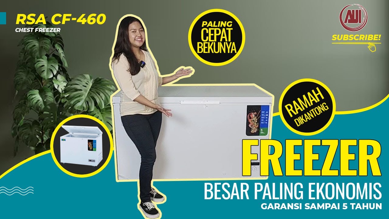 Rekomendasi Chest Freezer Box RSA CF-460 Ramah di Kantong, Cocok Buat Pengusaha Frozen Resto Cafe