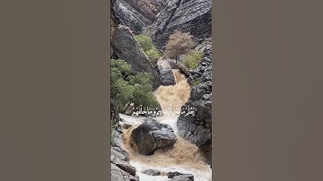 أية الكرسي بصوت القارئ سعد الغامدي #قرآن #قران_كريم #سعد_الغامدي