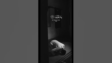 "واعبد ربك حتى يأتيك اليقين" | القارئ هزاع البلوشي ✨