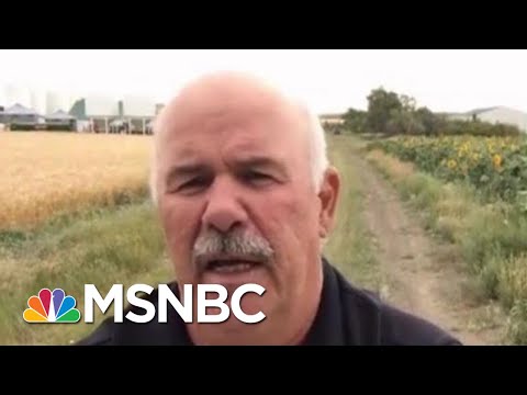 Farmers Rip Trump Trade: We Lost Everything Since He Took Over | The Beat With Ari Melber | MSNBC