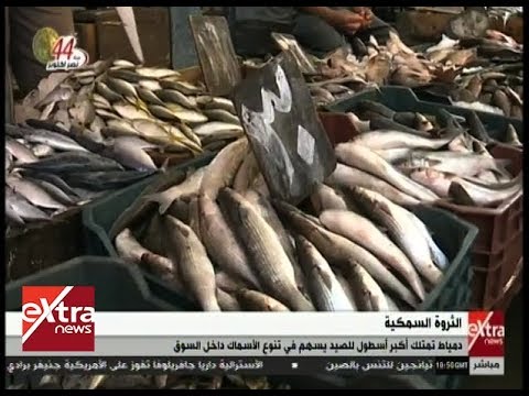 غرفة الأخبار دمياط تمتلك أكبر أسطول للصيد يسهم في تنوع الأسماك داخل السوق