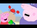 Piscine Fra Gli Scogli | Peppa Pig Italiano Episodi completi