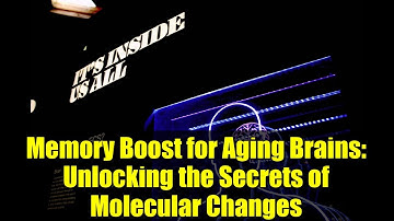 Memory Boost for Aging Brains: Unlocking the Secrets of Molecular Changes