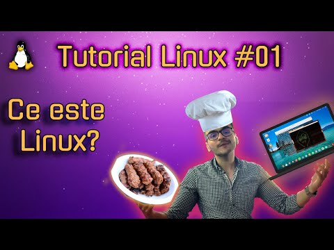 Video: Ce ar trebui să învăț după Linux?