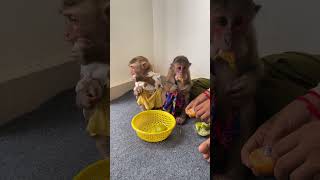 Bryan And Icy Are Living Their Best Fruity Lives