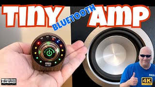 ⁣Surprising Palm Sized Bluetooth 5.0 Amp Amazon Special