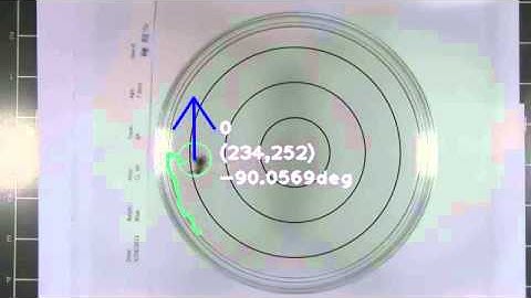 Single Target Tracking (Bee)