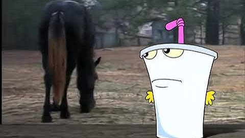 Welcome to this horses anus - Aqua teen hunger force