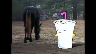 Welcome To This Horses - Aqua Teen Hunger Force