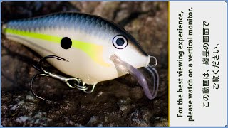 Underwater world and lure specs of the Scatter Rap Crank / Rapala. (vertical video).