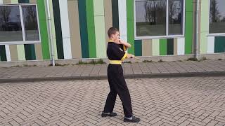 Tygo vd Schuit - Linked kata 1 - WNA online tournament 2