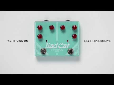 The Double Drive by Bad Cat Amps