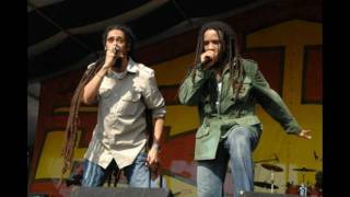 Jah Army Riddim Mix 2011 [Ghetto Youths International] (Brand New June 2011)