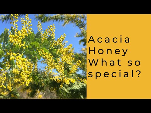 ვიდეო: Acacia Honey ინფორმაცია - საიდან მოდის აკაციის თაფლი