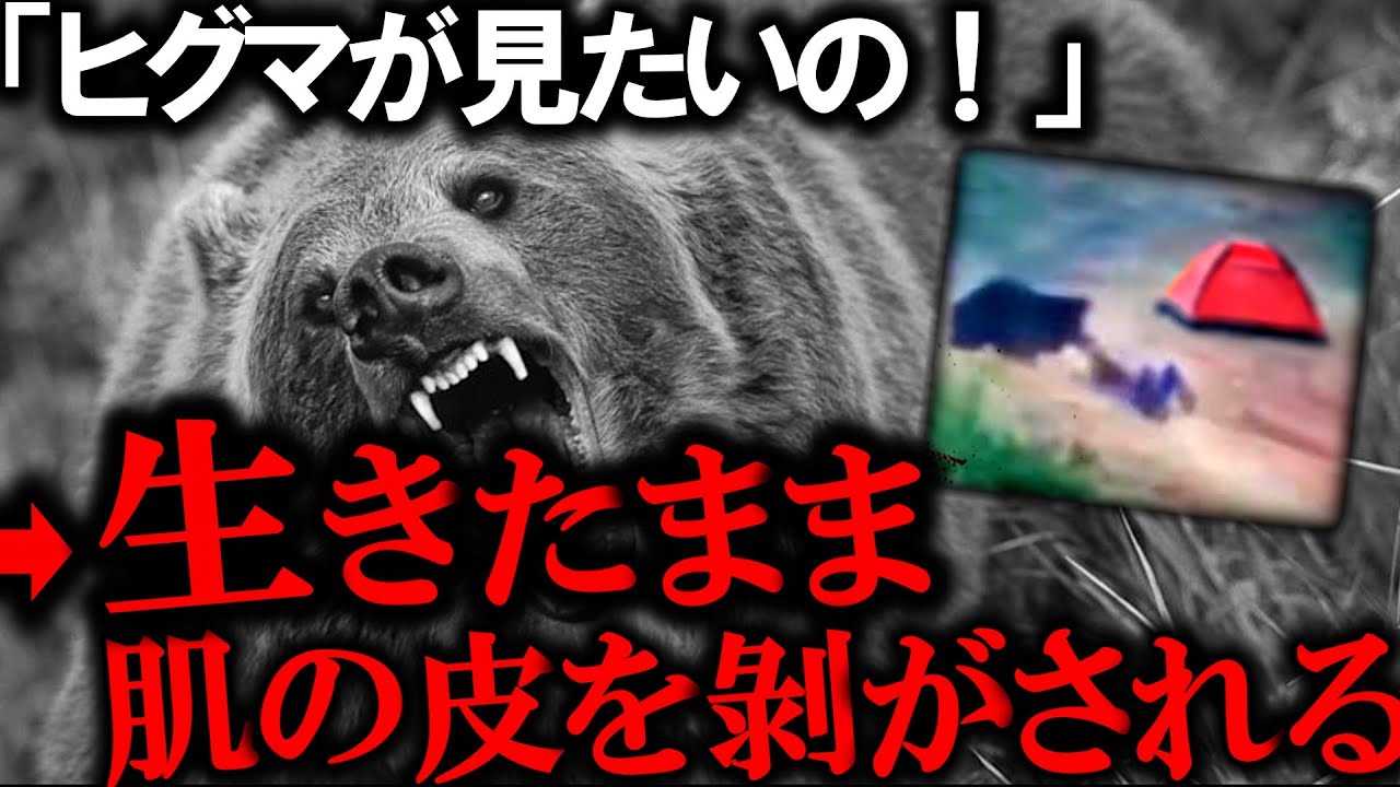 旅行中、家族と離れヒグマを見に一人でキャンプしに行った女性。→次の日連絡がなく現場に行くと人体組織がいたるところに…