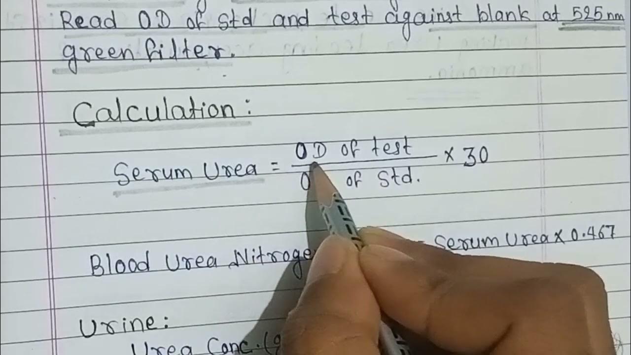 Blood Urea, Estimation of blood Urea by DAM method ! YouTube