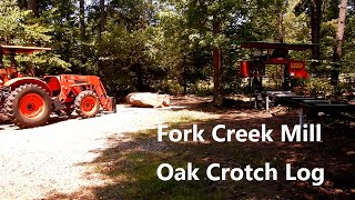 TimberKing Milling Oak Crotch Log