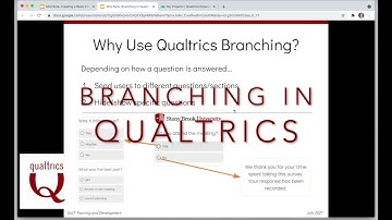Qualtics Skip and Display Logic