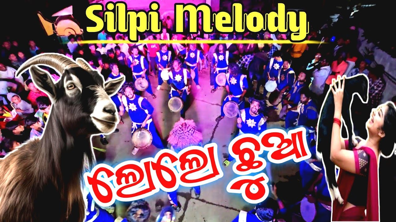 Lolo chhua...Silpi Melody Gandabahali, Mr - Belalsen Tandi 7894044509,8658983098, Dist - Nuapada