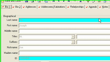 How to Navigate the Constituent Record in Raiser