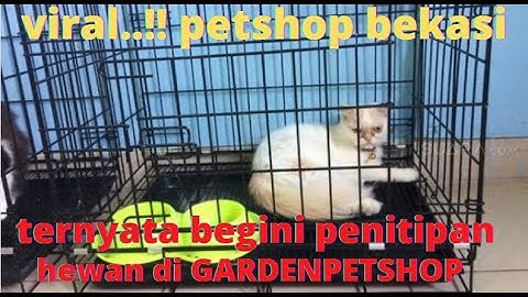 VIRAL !!!  TERNYATA BEGINI JIKA HEWAN KITA DITITIPKAN DI PETSHOP || SANGAT RECOMENDED BUAT KITA
