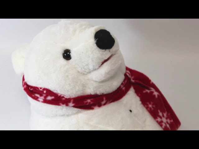 Rockin Polar Bear Singing Wall Ornament | The Works - YouTube