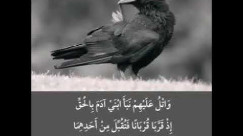 قرائه رائعه للقارئ ابومحمد الفاتح عمر حنش اليافعي مسجد ابن القيم الجوزي