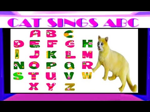 Cat Sings ABC Song