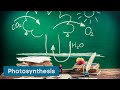 Photosynthesis