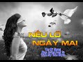 Huy Tâm Channel - Nếu Lỡ Ngày Mai - Mỹ Nhung - Hoàng Song Đệ