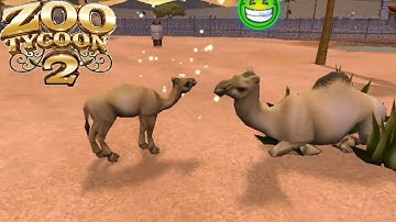 Zoo Tycoon 2 Dromedary Camel Breeding Tutorial