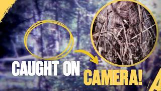 This Forbidden Swamp Footage Was Hidden For 30 Years... | Monsters & Mysteries