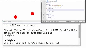 Học lập trình web, học thiết kế web: Bài tập CSS - Web Design - Web Developement