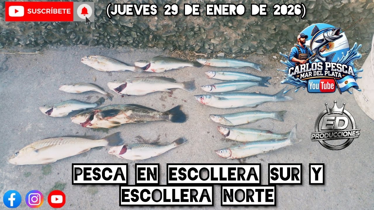 PESCA EN ESCOLLERA SUR Y ESCOLLERA NORTE (Jueves 29 de enero de 2026)