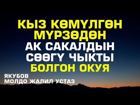 Video: Сөөгү көмүлгөн