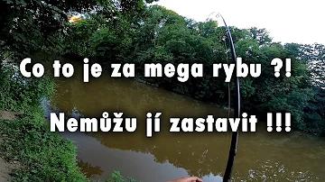 Jaké jsou základní rybářské potřeby?