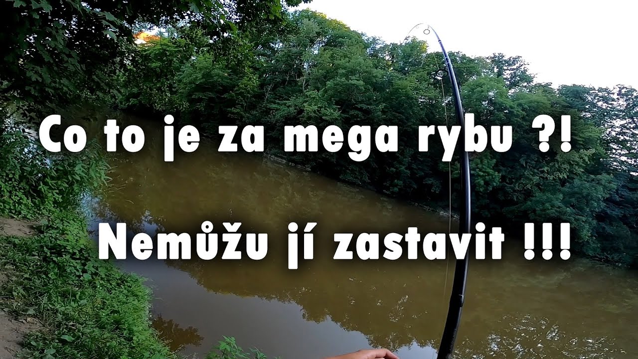 Огромная рыба из речки