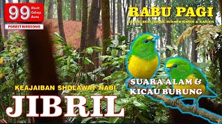 SHOLAWAT JIBRIL PENARIK REJEKI DIIRINGI SUARA ALAM \u0026 NYANYIAN BURUNG MERDU | RABU PAGI