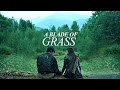 Multifandom  a blade of grass