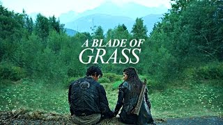 Multifandom A Blade Of Gr