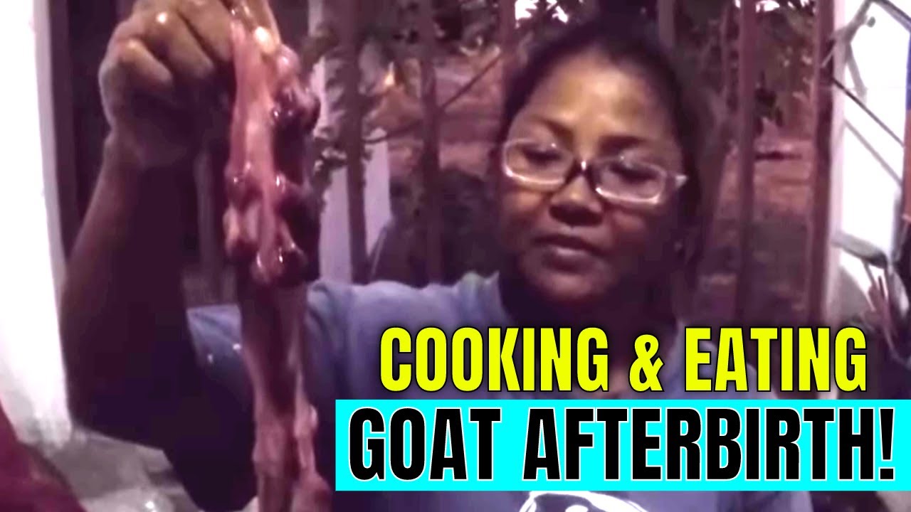 HOW TO Cook Goat Afterbirth (AND Eat it!) YouTube