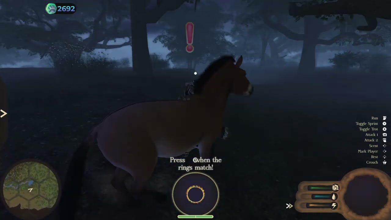 Tracking Down a Large Herd of Western Horse