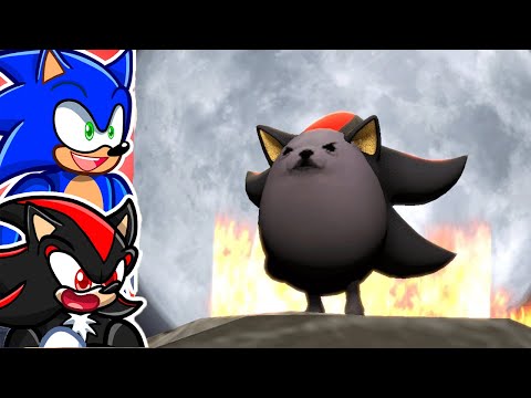 The WEIRDEST Shadow Videos!