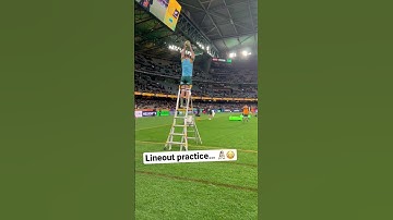 Wallabies ladder lineout practice! 🪜🏉 #shorts #rugby #wallabies #bledisloecup