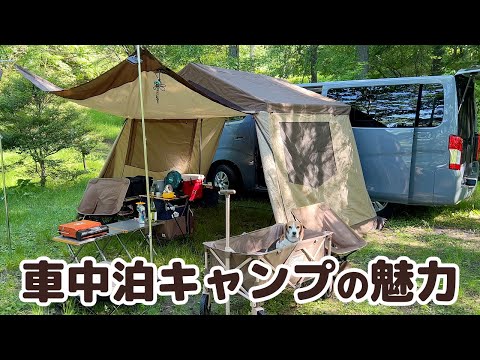 【車中泊キャンプ】網戸と扇風機で涼しく過ごした高原キャンプ -犬連れ夫婦キャンプ-