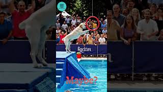 When You Finally Nail The Landing.