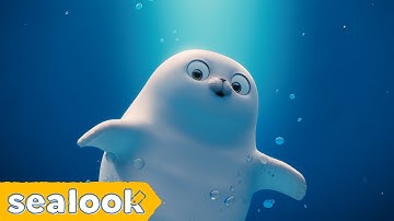 ⭐NEW⭐ BEST of the BEST Episodes | Binge Watching |  SEALOOK Compilation