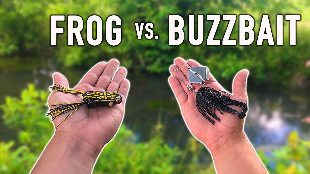 FROG vs. BUZZBAIT - Which is Better?! 