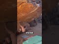 He Shouldn’t Be Able to Climb This Rock 😳