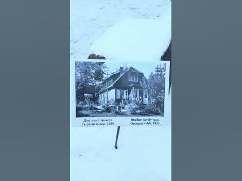 Музей Германа Брахерта Светлогорск Отрадное Георгенсвальде # ...
